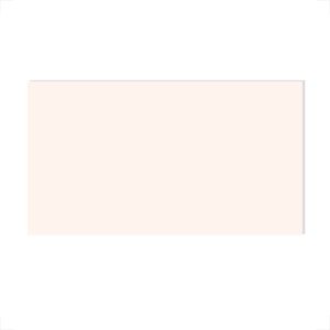 REVESTIMENTO VIA ROSA 31X58 RETIFICADO ACETINADO CLASSIC BEIGE AR31001