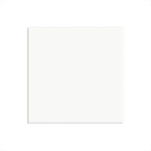 REVESTIMENTO CERAL 20X20 ACETINADO BRANCO 18100025