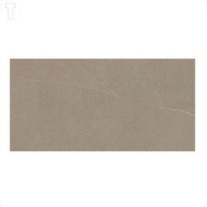 PORCELANATO PORTINARI 58,4X117 RETIFICADO APOGEU DGR NATURAL 6061780A
