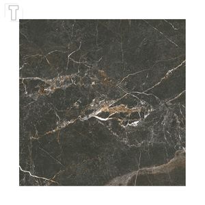 PORCELANATO CEUSA 100X100 RETIFICADO POLIDO IMPERIO BK 5062326A