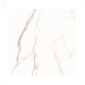 PISO CRISTOFOLETTI 55,4X55,4 RETIFICADO BRILHO CARRARA R55098