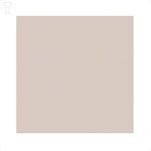 PISO CRISTOFOLETTI 55,4X55,4 RETIFICADO BRILHO IVORY R55100