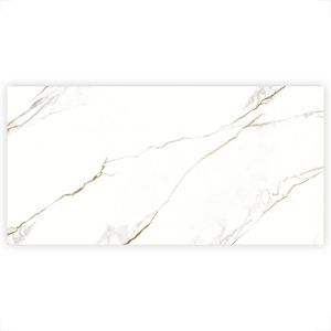 PORCELANATO DELTA 60X120 RETIFICADO POLIDO VENE DORO 2856-A