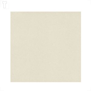 PORCELANATO DELTA 73X73 RETIFICADO POLIDO IGUACU 2442-A