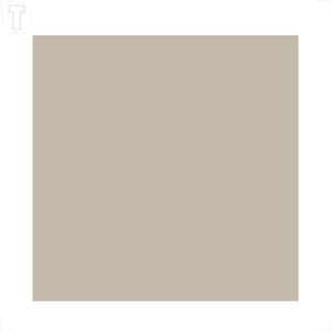 PORCELANATO DELTA 80X80 RETIFICADO POLIDO AVORIO 2471-A