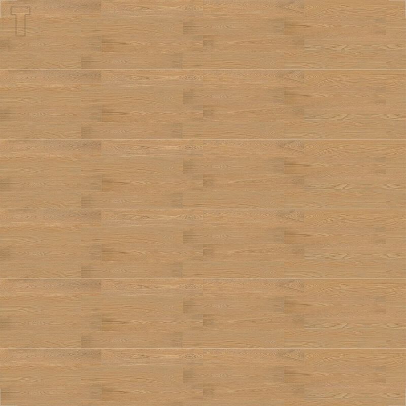 33704_1